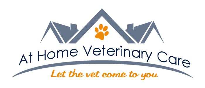 At Home Veterinary Care